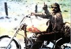 64441 Easy rider poster