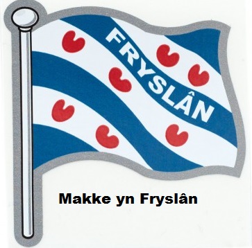 spiegels-op-maat-gemaakt-in-friesland